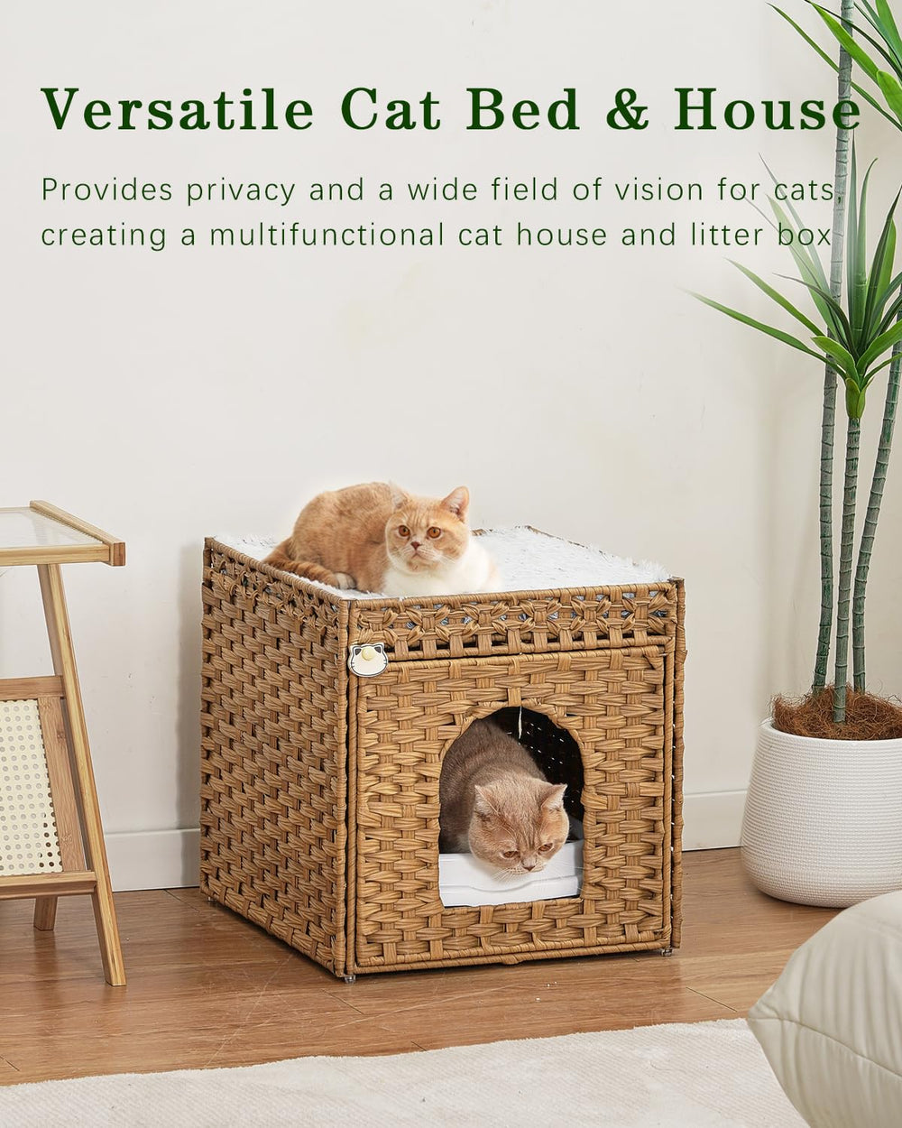 SETVSON usage salon: abri discret et chic pour votre chat.