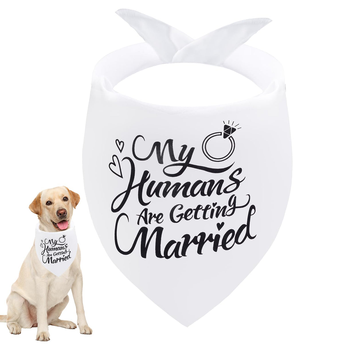 Bandana Seyezo annonce fiancailles chien, parfait pour photo de mariage