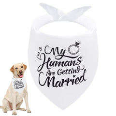 Bandana Seyezo annonce fiancailles chien, parfait pour photo de mariage