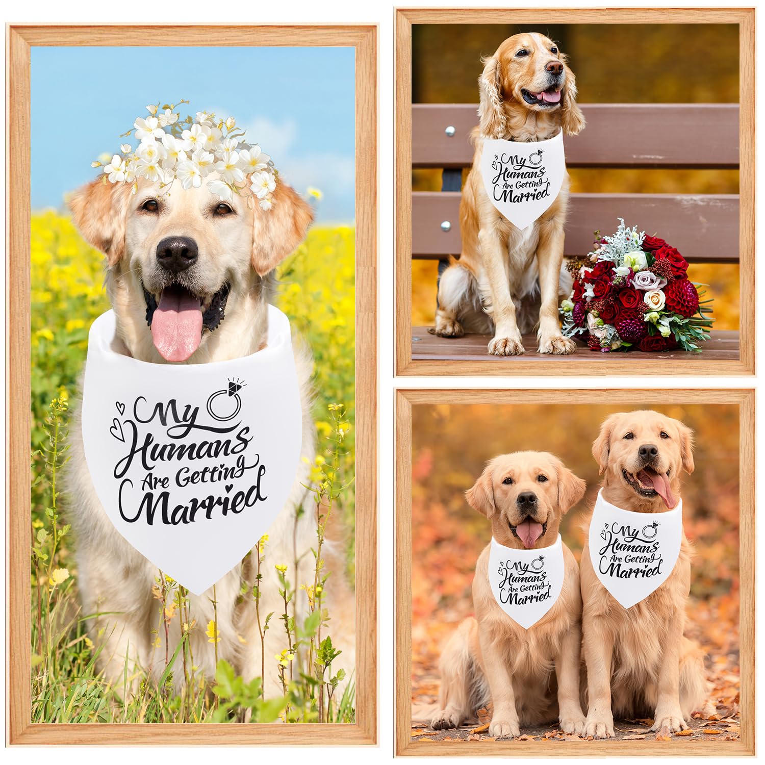 Bandana Seyezo décoratif pour mariage chien, ambiance romantique