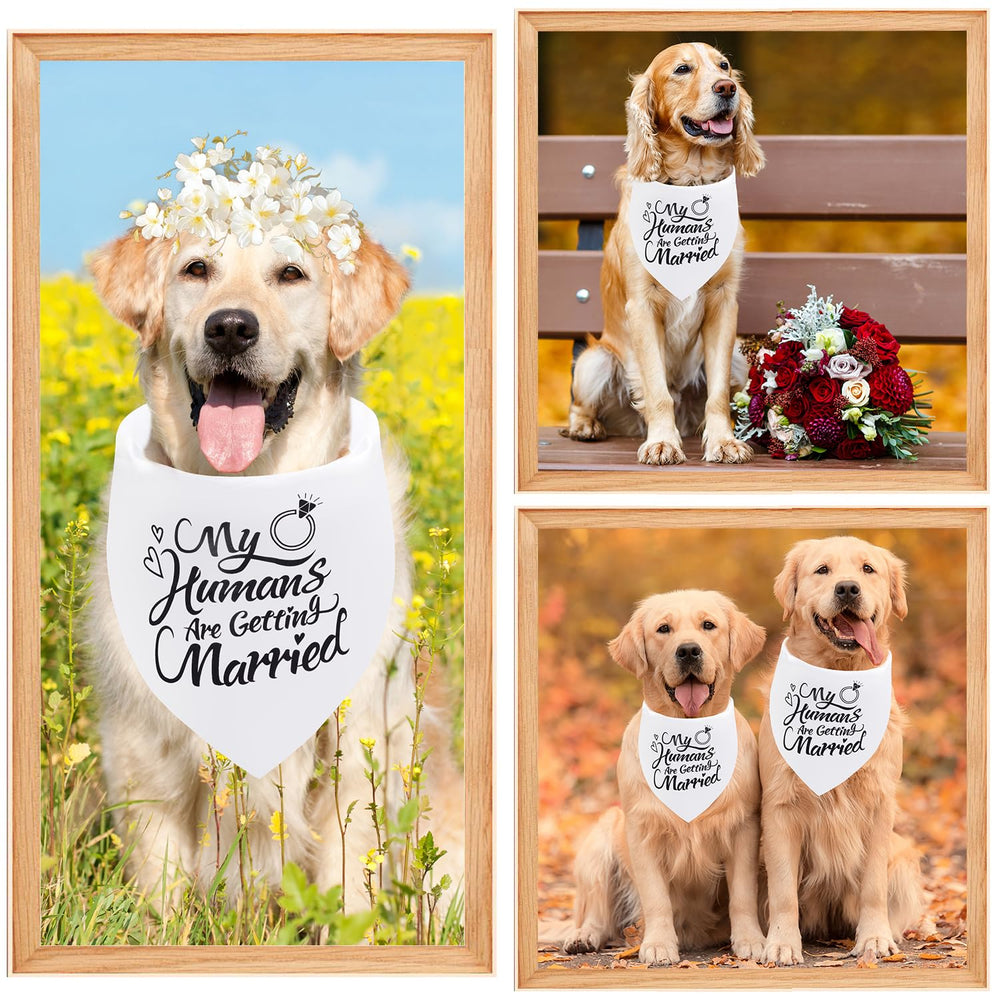 Bandana Seyezo décoratif pour mariage chien, ambiance romantique