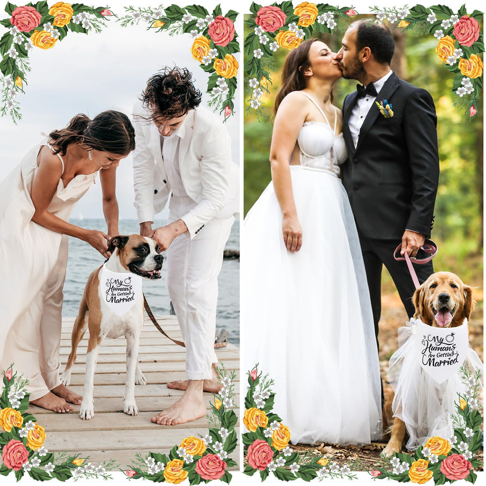 Bandana Seyezo ensemble cadeau pour mariage canin