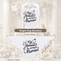 Bandana Seyezo en polyester doux pour chien, confort au quotidien