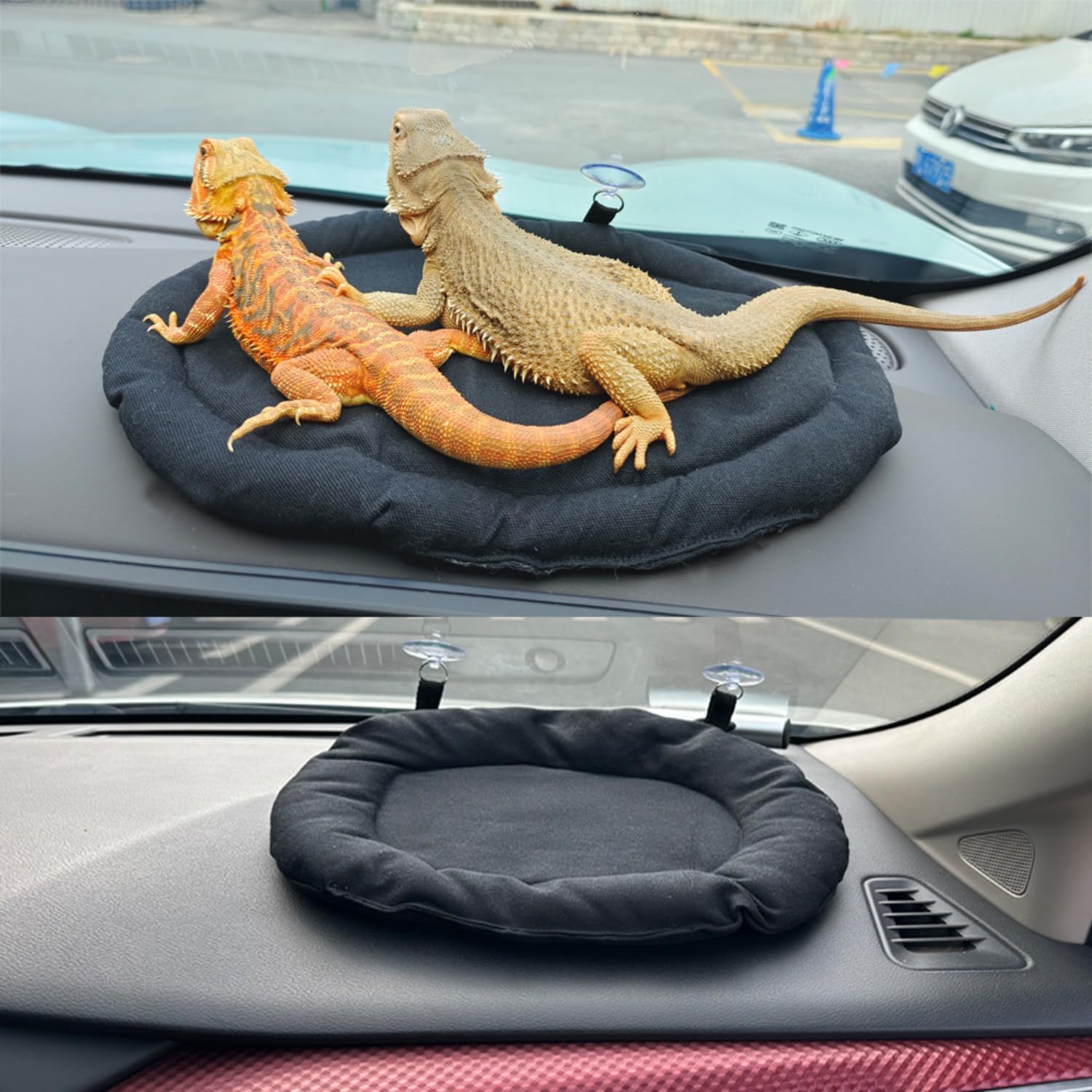 SEZDEKI confort-petits-animaux : usage polyvalent pour lézard et gécko.