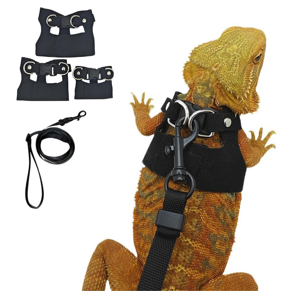 Harnais SEZDEKI dragon barbu en trois tailles pour s'adapter.