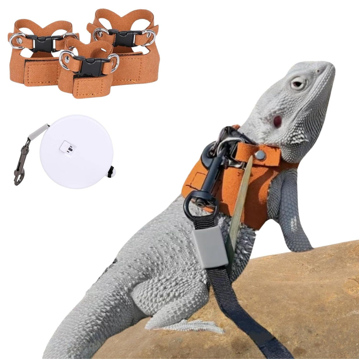 Harnais SEZDEKI pour lezard barbu, ensemble 3 tailles pour plus de confort.