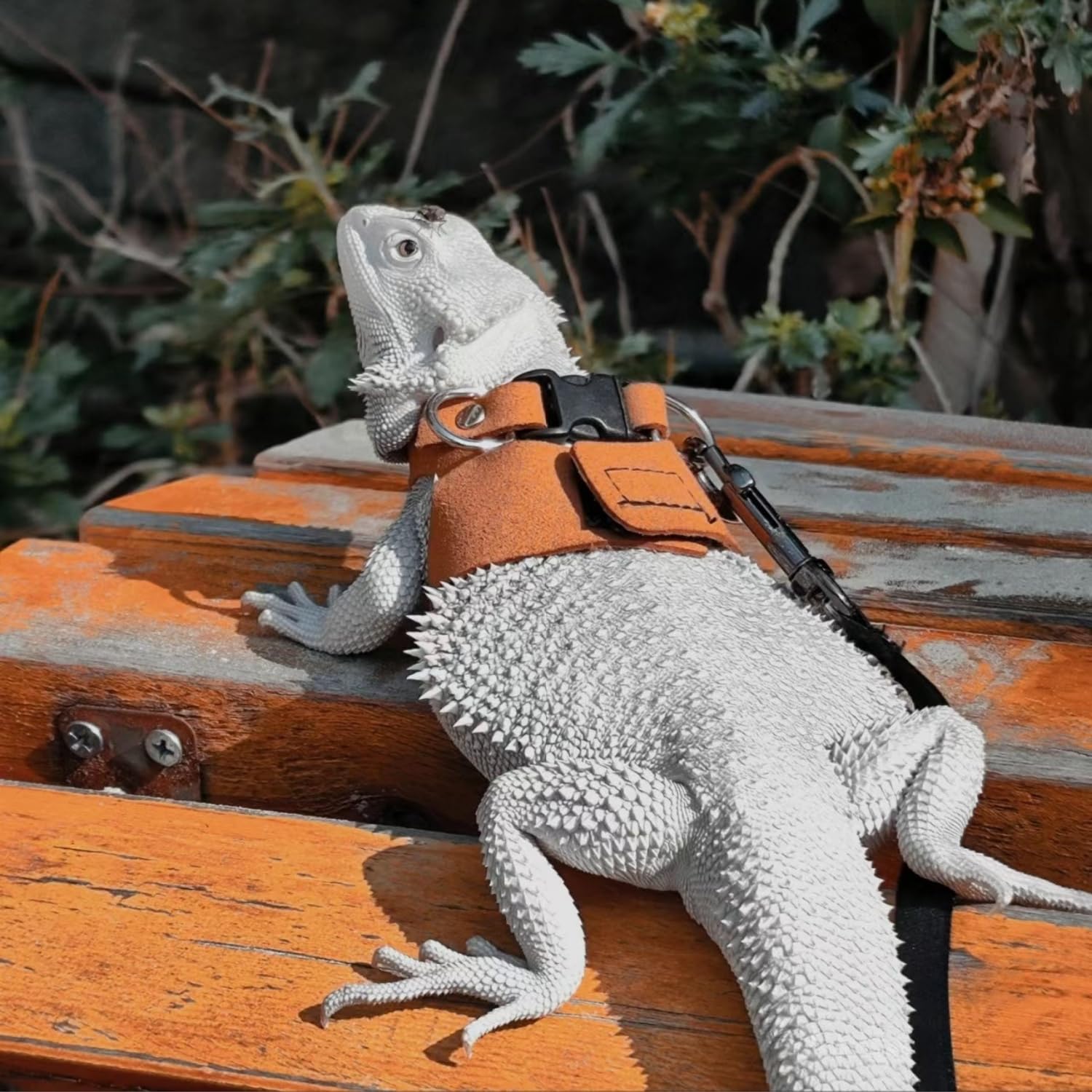 Utilisation exterieur SEZDEKI pour petits animaux, promenade en securite.