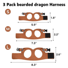 Laisse retractable SEZDEKI pour dragon barbu, distance reglable jusqua 3 metres.