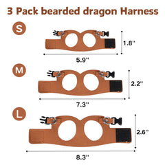 Longe SEZDEKI de 6,5 pieds pour dragon barbu, liberté d'exploration maîtrisée.