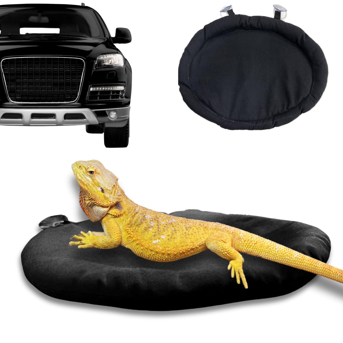 SEZDEKI tapis-dodo dragon-barbu-ventouse : confort lors des trajets en voiture.