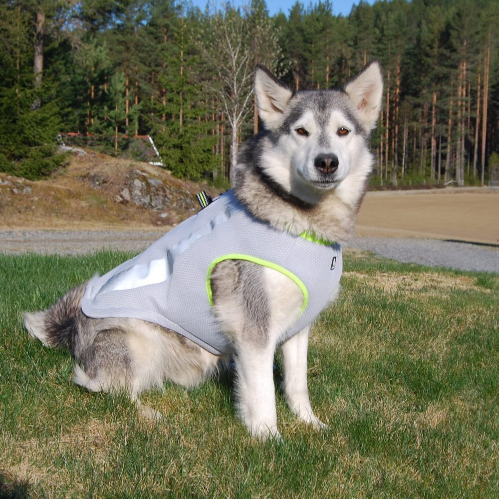 SGODA gilet gris/orange pour été, utilisation agréable en plein soleil
