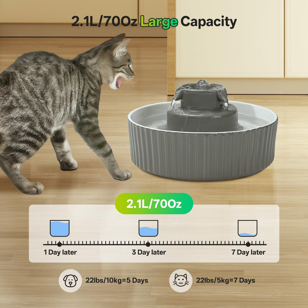 SgurFin fontaine pour chats, grande capacité pour eau continue.