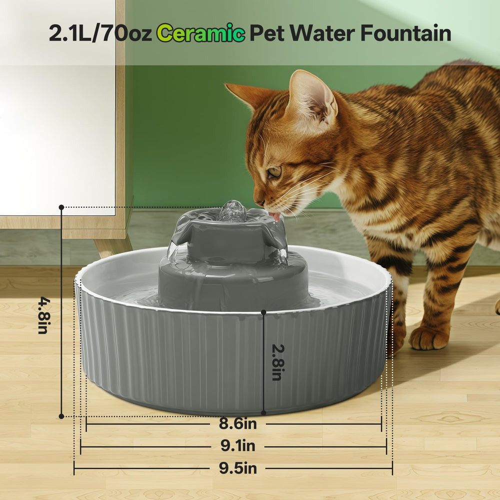 SgurFin fontaine adaptée aux chats, usage quotidien à la maison.
