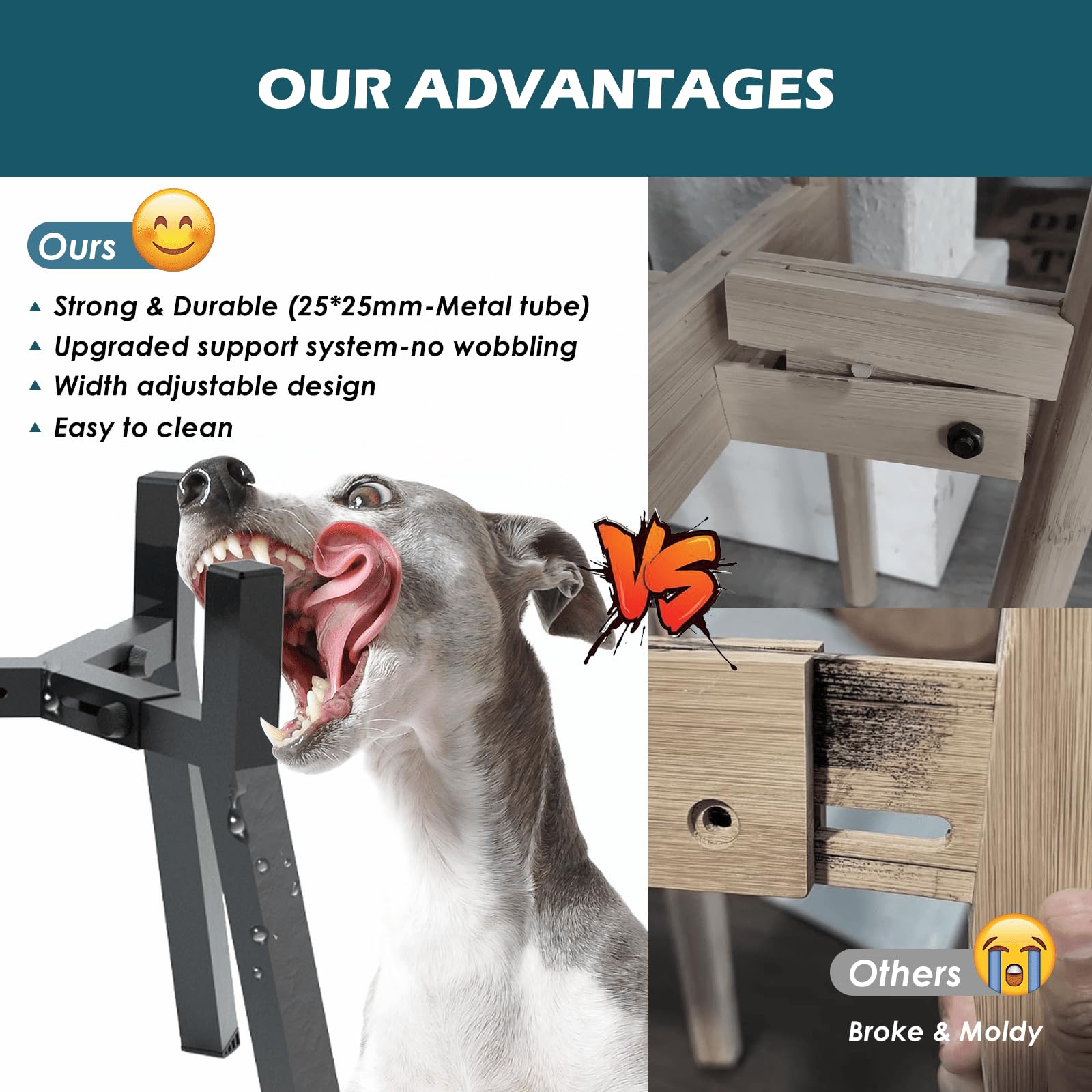 SHAINFUN base stable pour chien, design robuste pour repas quotidiens