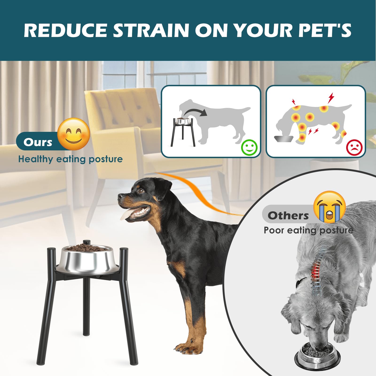 SHAINFUN design-bol-eleve et stable pour une posture correcte.