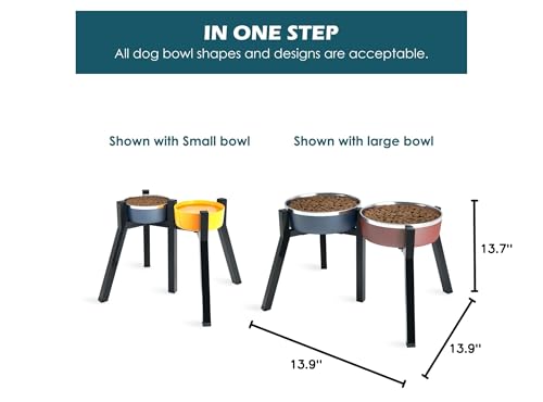 SHAINFUN produit présenté, bol non inclus
