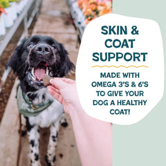 Omega-3 et Omega-6 pour peau et pelage – Shameless Pets Bananas for Bacon.
