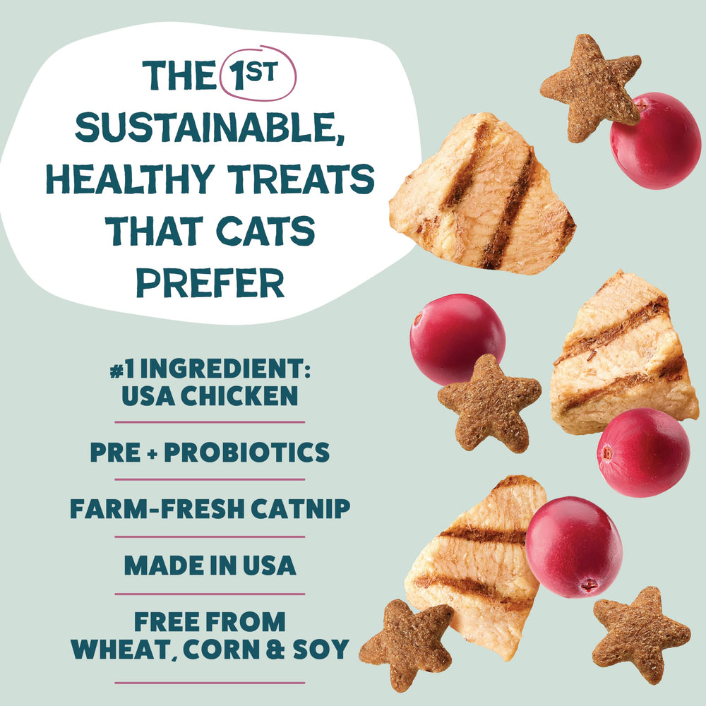 Shameless Pets pré et probiotiques pour digestion potentielle lors des friandises
