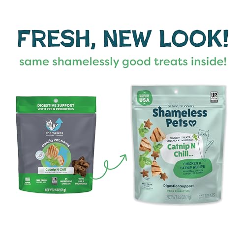 Shameless Pets chaton dégustant une friandise croustillante et savoureuse.
