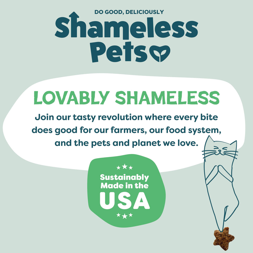 Shameless Pets croquant digestible, idéal pour tout âge félin