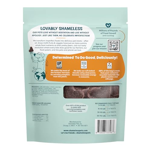 Shameless Pets Pumpkin Nut Partay biscuit gros plan, texture moelleuse idéale.