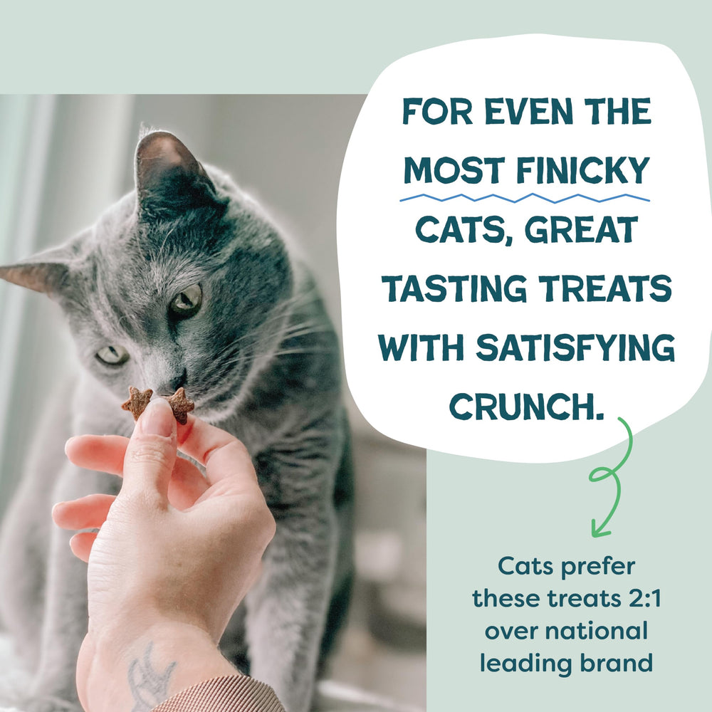 Shameless Pets Catnip N Chill, prébiotiques et probiotiques inclus pour soutenir la digestion.