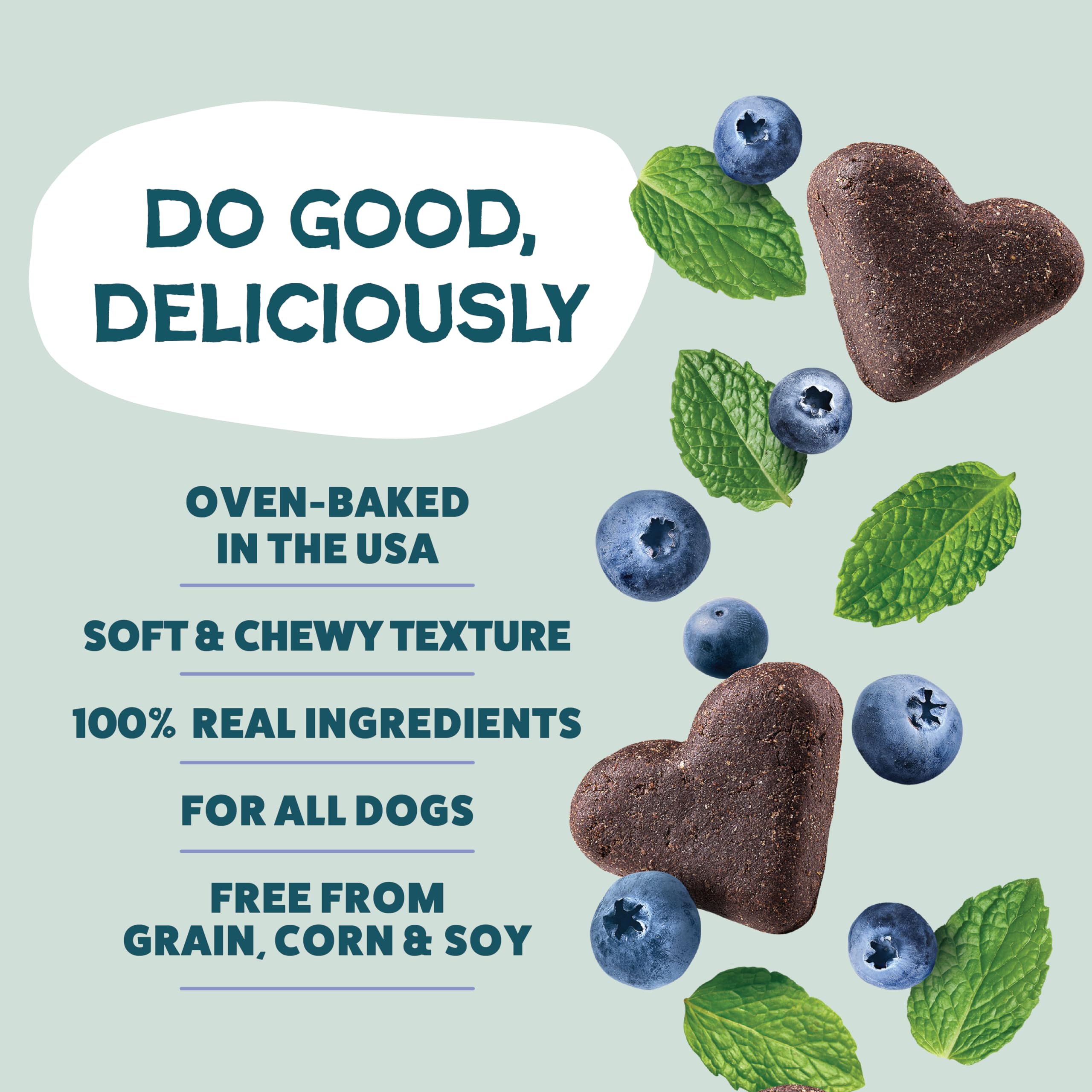 Shameless Pets Trésor Bleu – myrtilles et menthe visibles sur le biscuit.