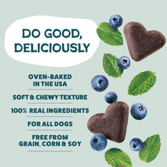 Shameless Pets Trésor Bleu – myrtilles et menthe visibles sur le biscuit.
