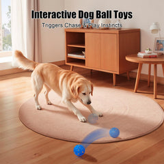 Shapana Balle Interactive, mode Fou pour énergie et jeu intenses.