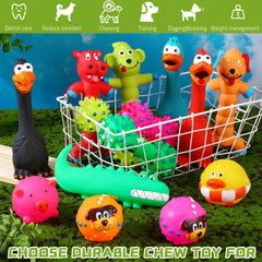 Jouets Shappy interactifs en latex, attractifs et durables pour chiens moyens à grands.
