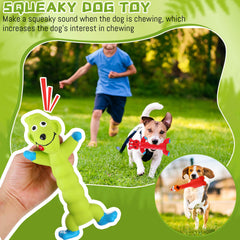 Jouets Shappy pour récupération intérieure et extérieure, variés et faciles à manipuler.