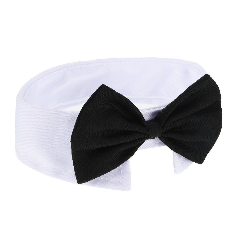 Shappy ensemble trois pièces, accessoires toilettage pratique