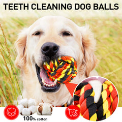 SHARLOVY balle interactive chien, stimulation mentale et physique