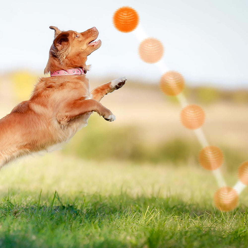 SHARLOVY boules de dentition et mastication pour chiots en teething.