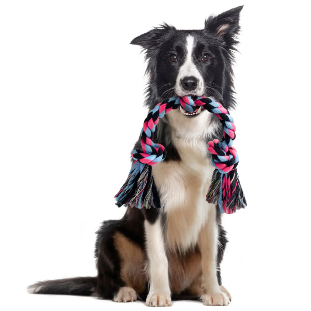 SHARLOVY corde chien moyen 50 cm pour jeu interactif et durable.