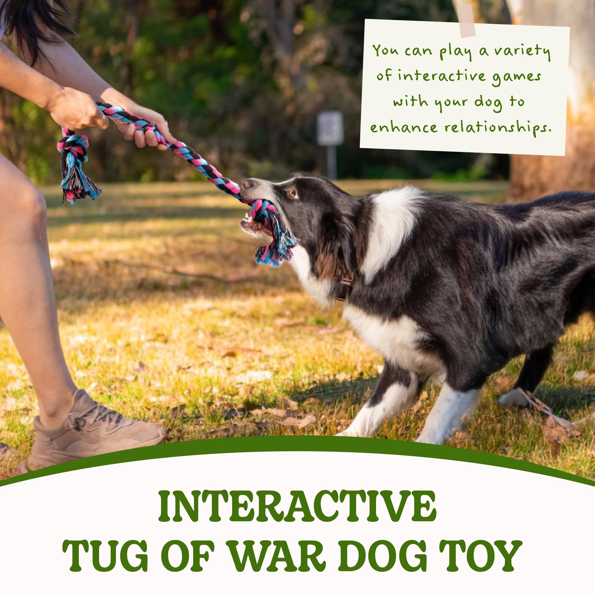 SHARLOVY jeu tir corde chien, ideal pour renforcer le lien pendant le jeu.