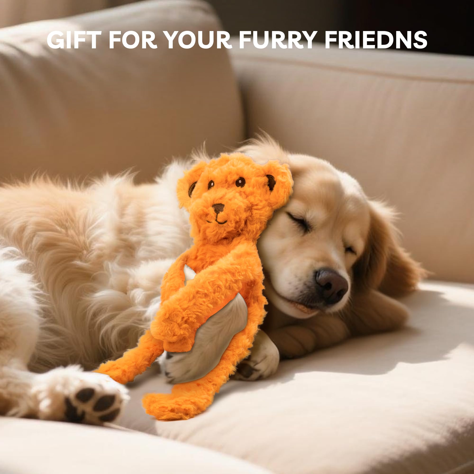 SHARLOVY jouet polyvalent intérieur et extérieur pour chiens actifs.