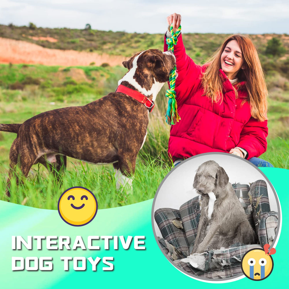 SHARLOVY XL – Jouet dur à mâcher, conçu pour grands chiens et mâcheurs puissants.