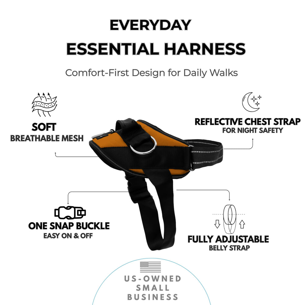 Harnais ShawnCo Essential réfléchissant pour des sorties nocturnes plus sûres.