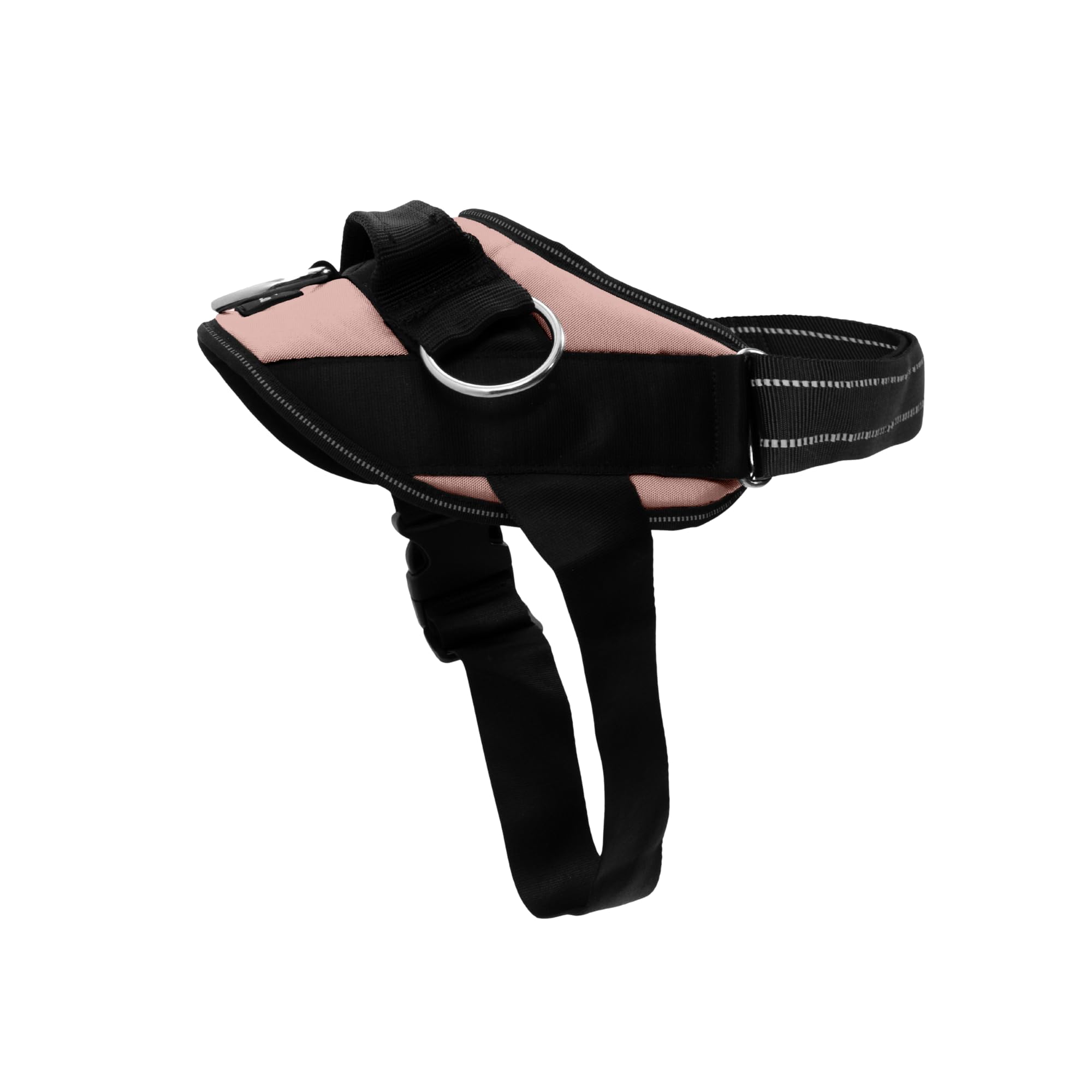 ShawnCo Harnais Essentiel rose-gold sur chien, confort pendant la promenade.