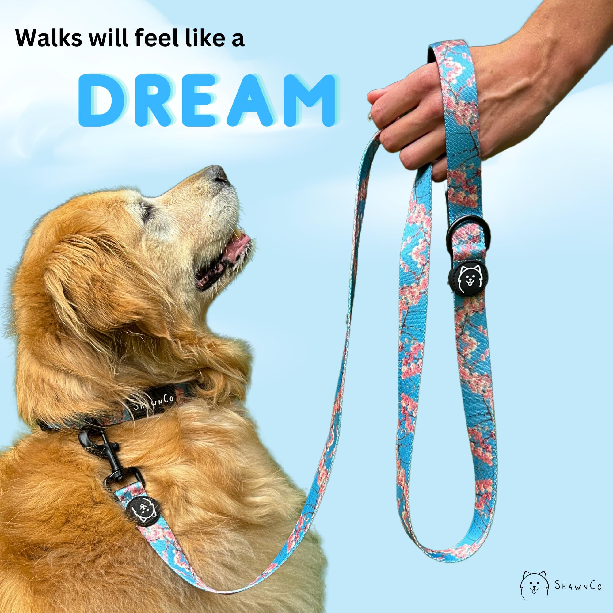 ShawnCo Dream Walk: couleur Orchid élégante pour un style identifiable.