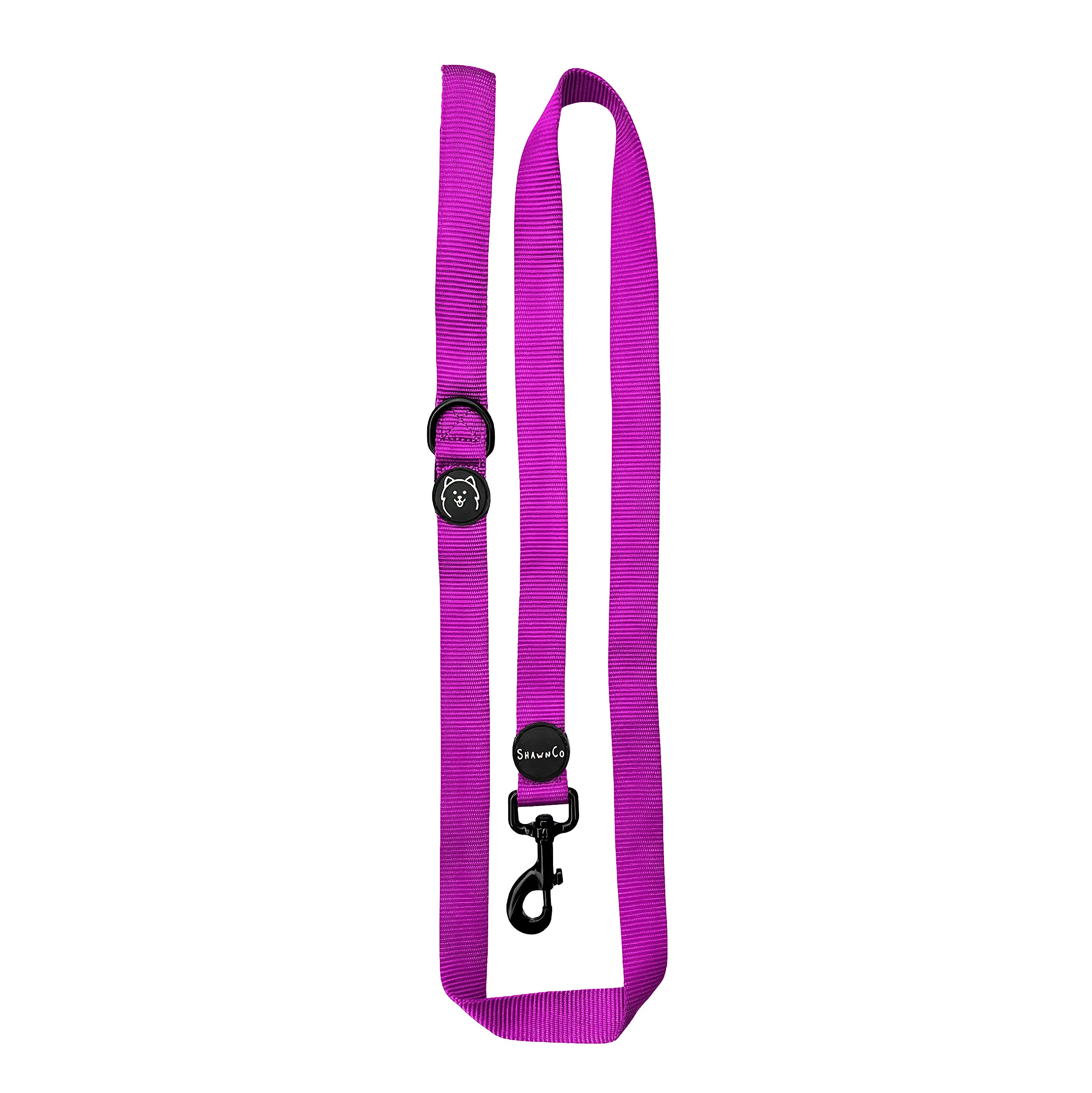 ShawnCo Dream Walk: laisse en nylon premium pour sorties quotidiennes.