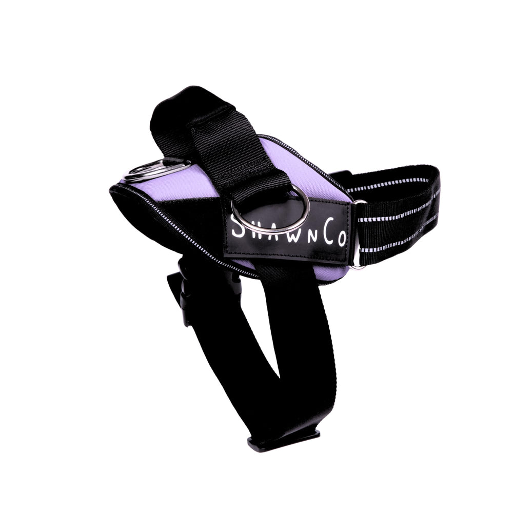 ShawnCo Essential Pro harnais chien avec patch réfléchissant pour sécurité nocturne.