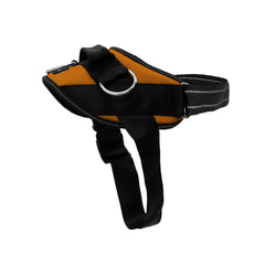 Harnais ShawnCo Essential – 3 anneaux sans traction pour des promenades plus calmes.