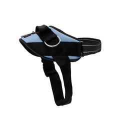 Harnais ShawnCo Essential vue d’ensemble avec trois points d’attache anti-tirage.