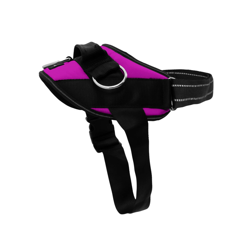 ShawnCo Essential harnais avec 3 attaches, pour limiter la traction pendant les promenades