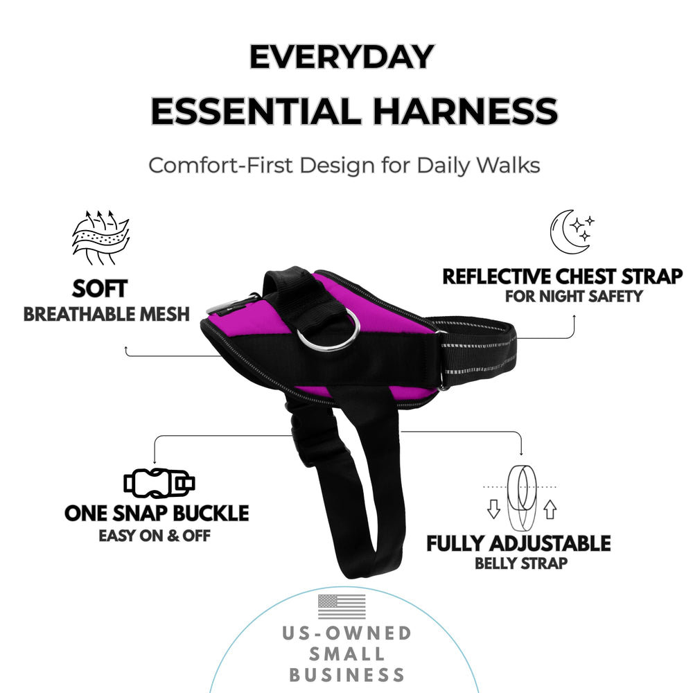 ShawnCo Essential dos en maillage respirant pour le confort quotidien du chien