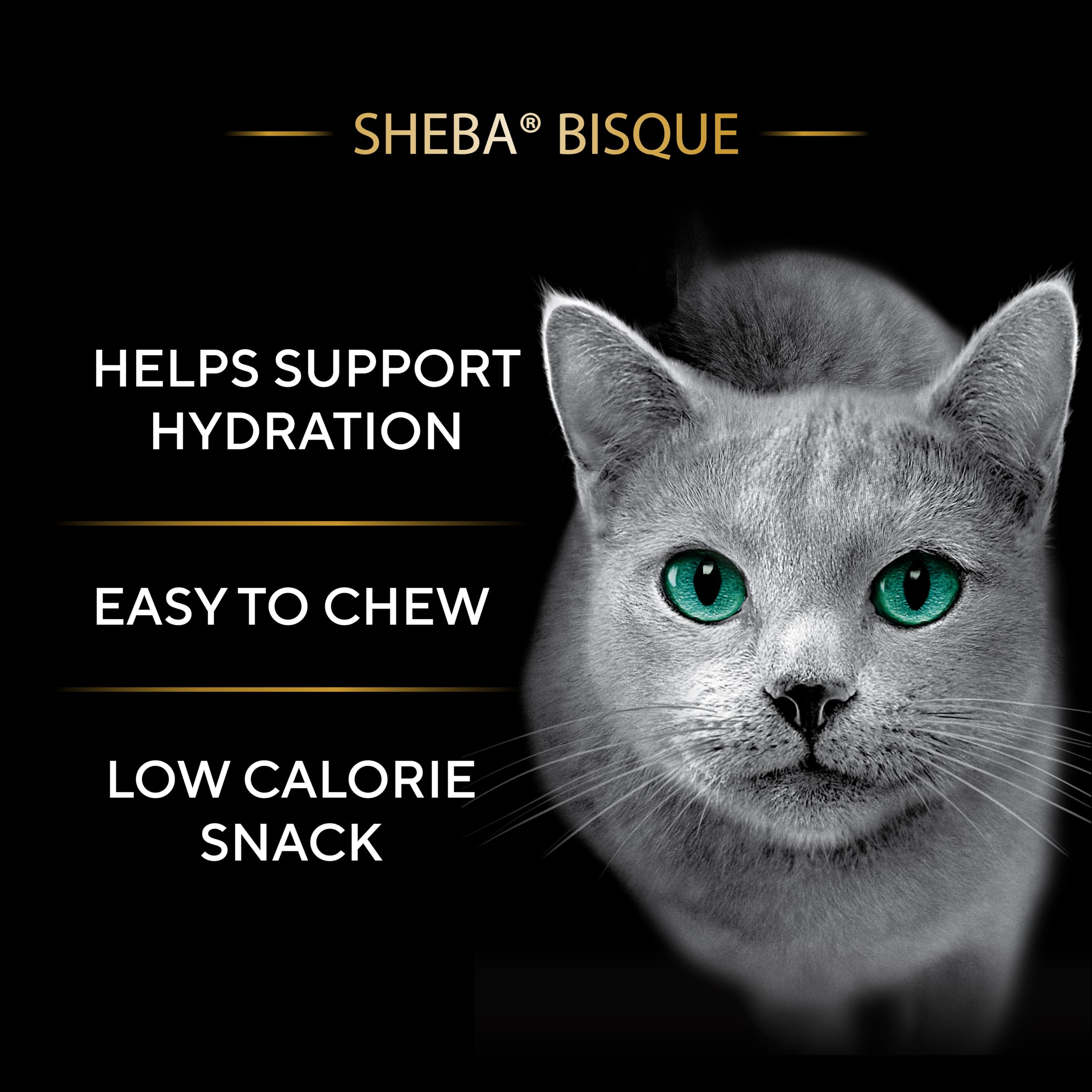 Sheba Bisque Lickable chat saumon: morceaux dans bisque riche
