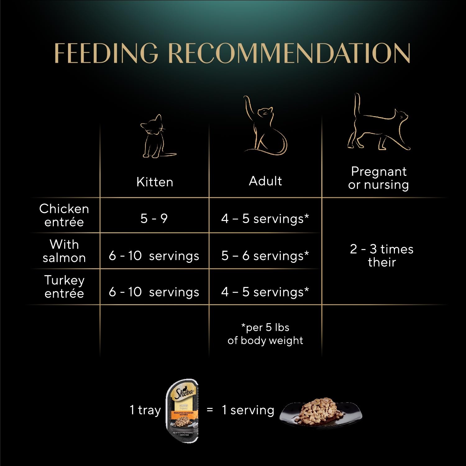 Sheba chat mange tranches en sauce – repas humide apprécié