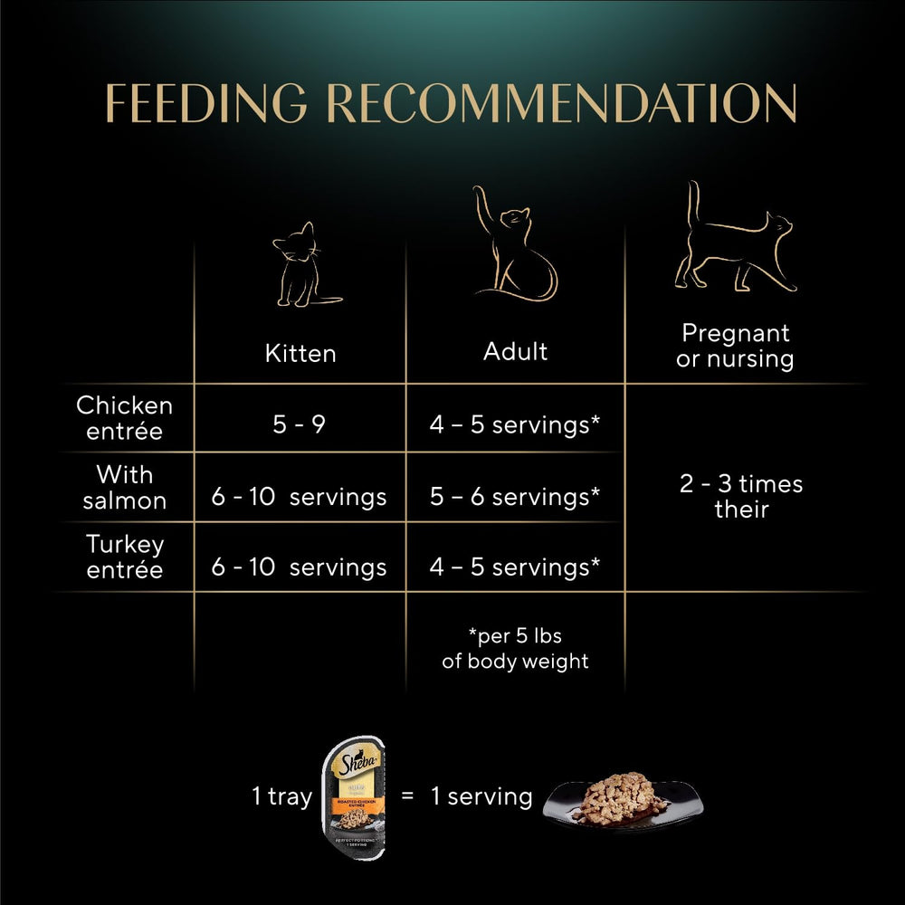 Sheba chat mange tranches en sauce – repas humide apprécié